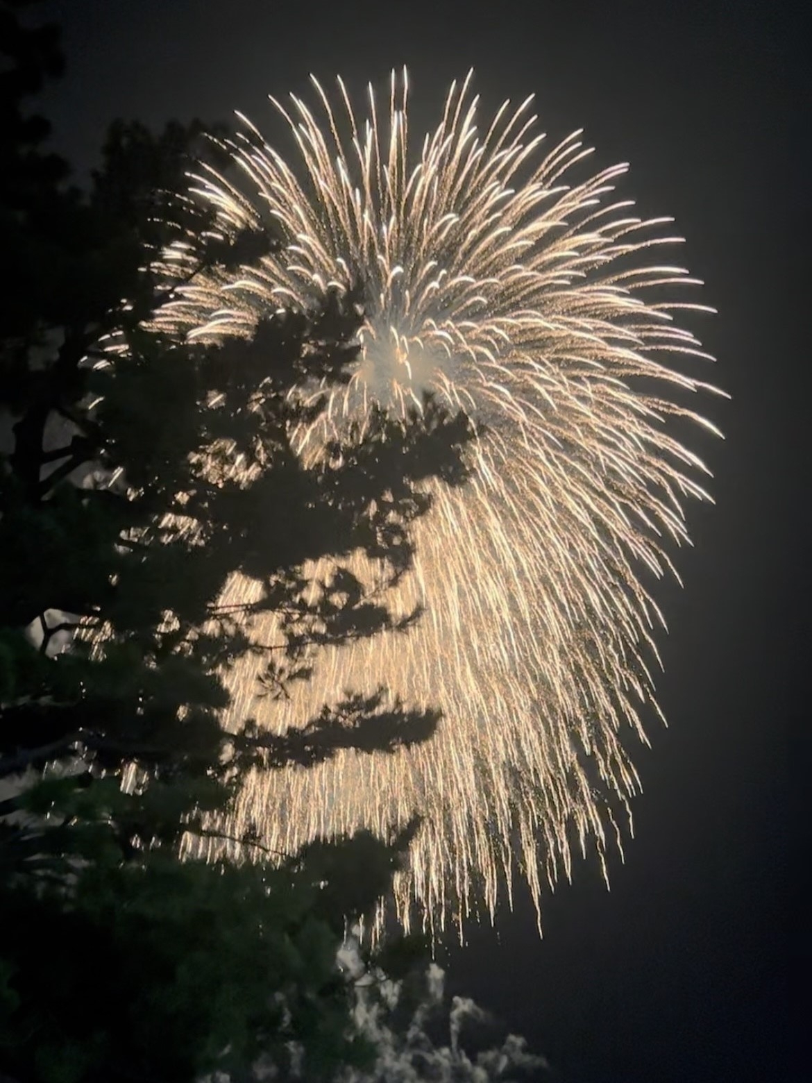 hanabi