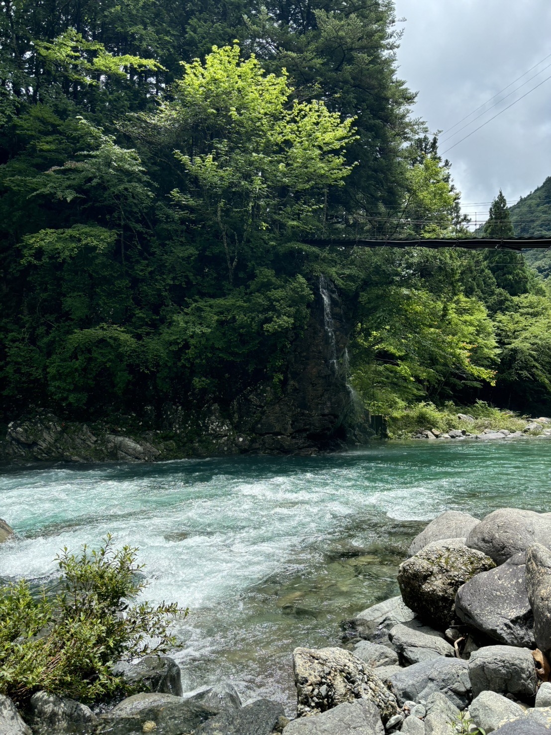 kawa
