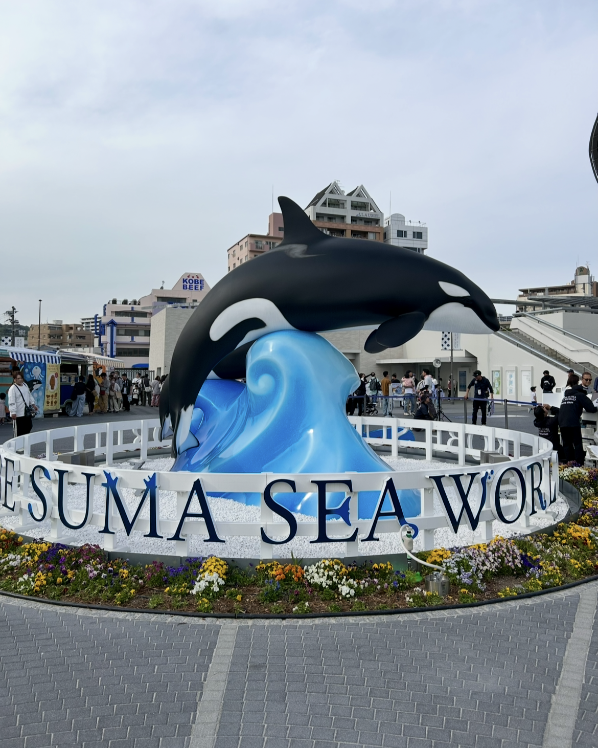 suma